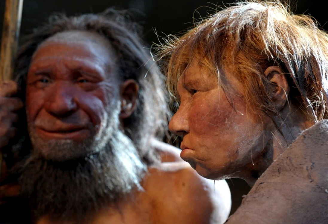 Neanderthalieni