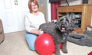 Face fizioterapie  cu stăpâna lui jpeg