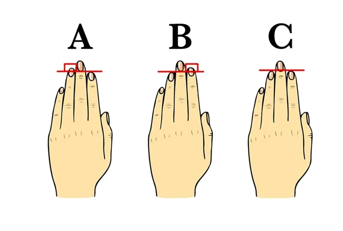 
    Diferenţa de lungime dintre index şi inelar spune lucruri fascinante despre personalitatea oamenilorclickpentrufemei.ro  