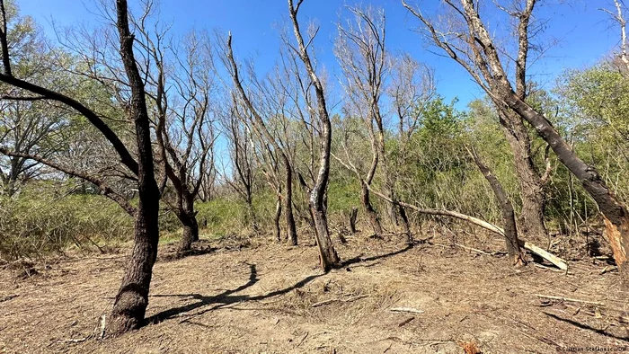 Locul unde au fost găsite bucăţi de dronă, lângă Plauru
