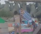 3 nicusor dan imagini vacanta mare munte concediu 722513 jpg jpeg