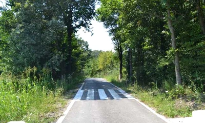Deşi jumătate din drumurile judeţene din Bacău sunt pline de gropi