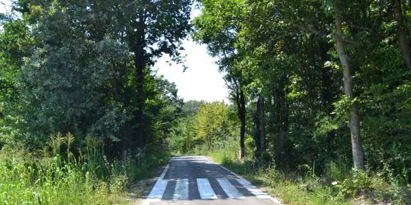 Deşi jumătate din drumurile judeţene din Bacău sunt pline de gropi