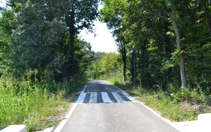 Deşi jumătate din drumurile judeţene din Bacău sunt pline de gropi, APDRP a dat bani pentru asfaltarea unui drum agricol, cu treceri de pietoni care nu duc nicăieri FOTO Mircea Merticariu