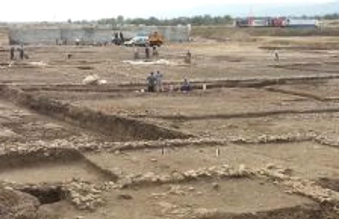 Oraşul roman descoperit la Şibot