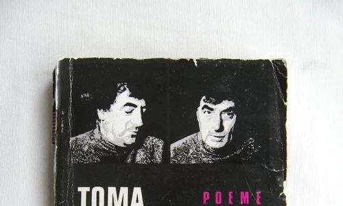 Chestionar cu Toma jpeg