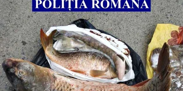slobozia peşte