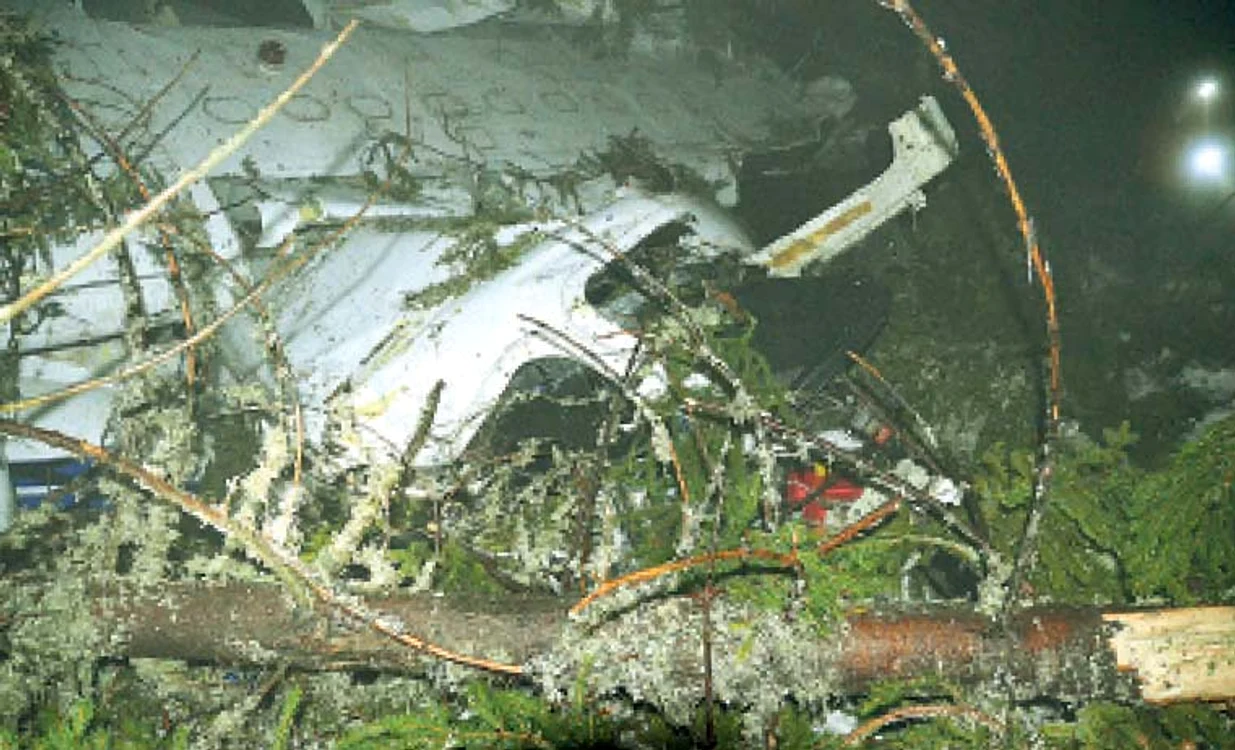 
    Acestea sunt  rămăşiţele avionului  