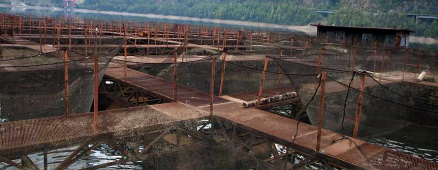 Vâlcea Păstrăvăria plutitoare Brădişor