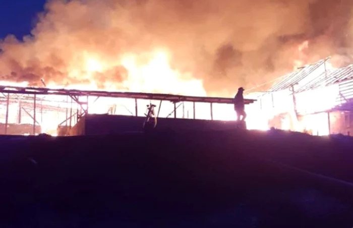 Incendiu violent la o fermă de vaci din Argeş. Flăcările se manifestă pe mai mult de 500 de metri pătraţi