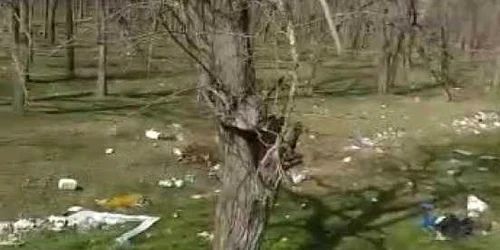 5e5e391e5163ec4271abe3ee jpg