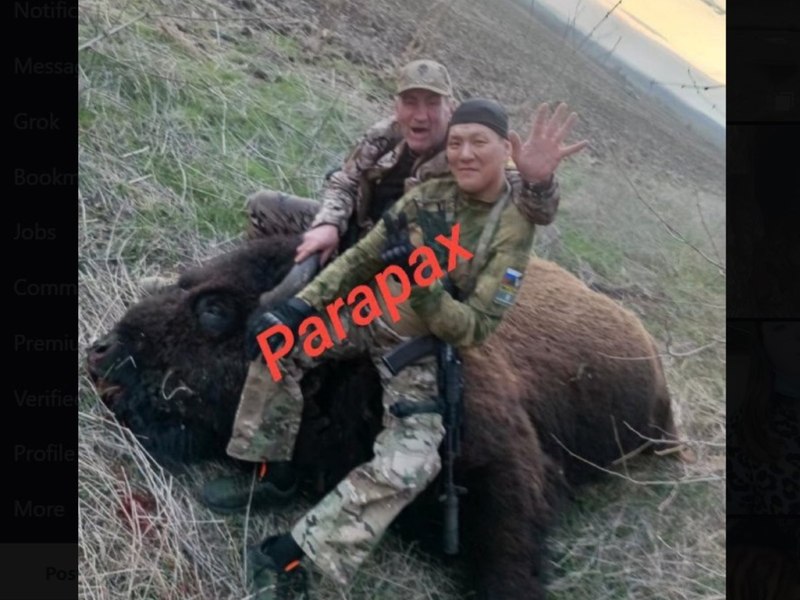 Soldații ruși au ucis un exemplar rar de bizon, specie protejată în Ucraina. Cum s-au răzbunat forțele ucrainene 