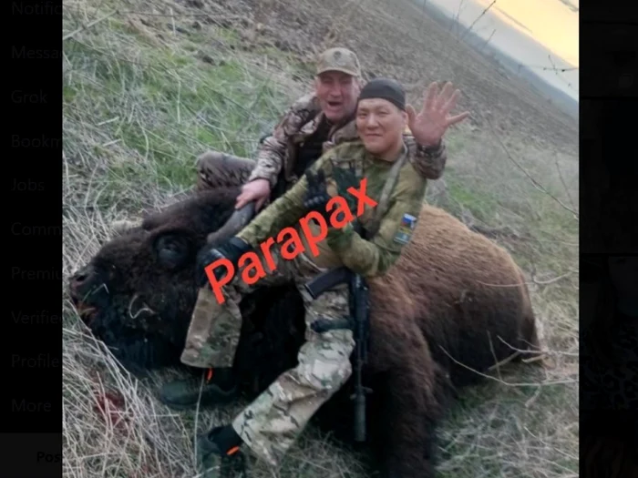 Bizonul ucis de militarii ruși/FOTO: X