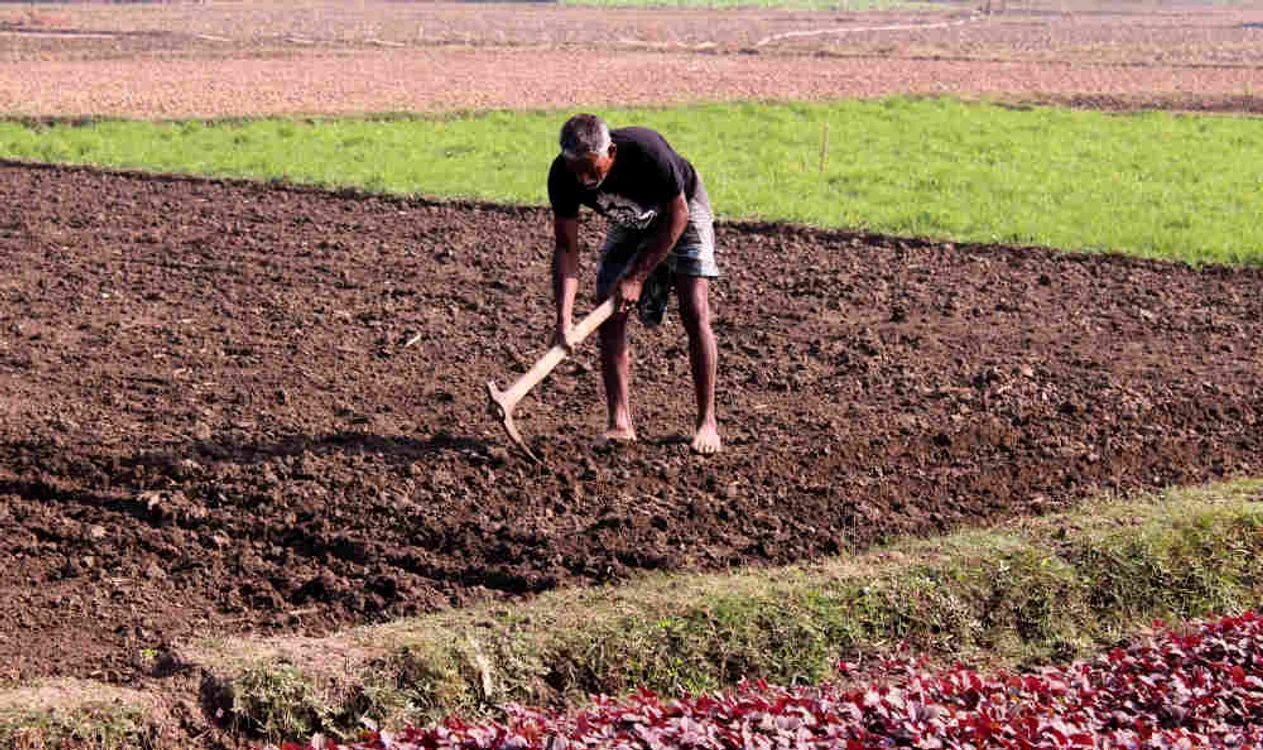 Lucrătorii agricoli, sclavi în fermele din Uniunea Europeană 