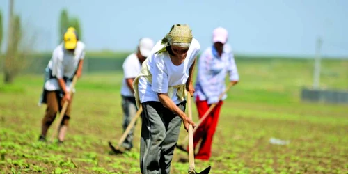 Foto arhivă - Florin Gheorghe