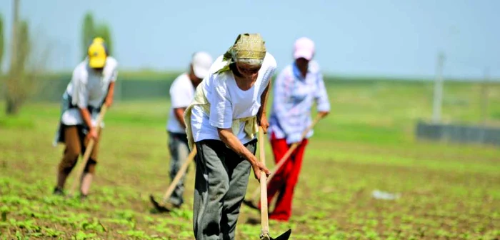 Foto arhivă - Florin Gheorghe