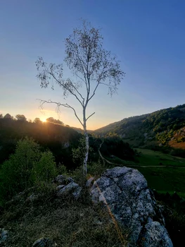 Fundătura Ponorului toamna Foto Lucian Ignat (10) jpg