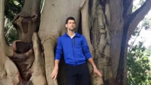 Novak Djokovic îmbrățișează un anumit copac din Grădina Botanică de la Melbourne: „Îmi vindecă rănile și îmi ține companie”