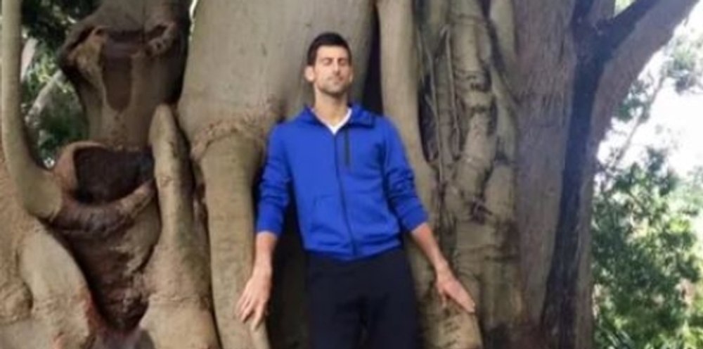 Novak Djokovic îmbrățișează un anumit copac din Grădina Botanică de la Melbourne: „Îmi vindecă rănile și îmi ține companie”