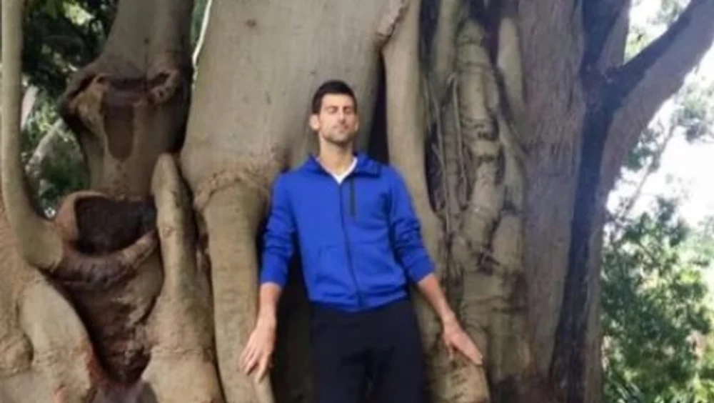 Novak Djokovic îmbrățișează un anumit copac din Grădina Botanică de la Melbourne: „Îmi vindecă rănile și îmi ține companie”