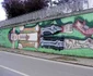 Graffiti în Timişoara FOTO Ştefan Both