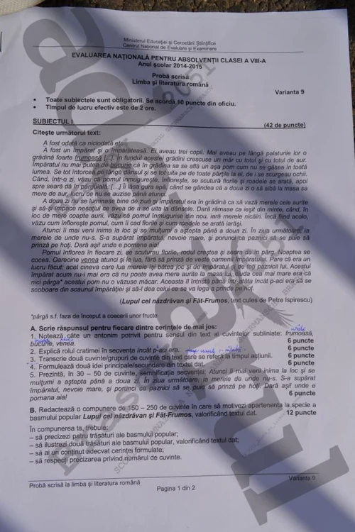 Subiect Română Evaluarea Națională 2015