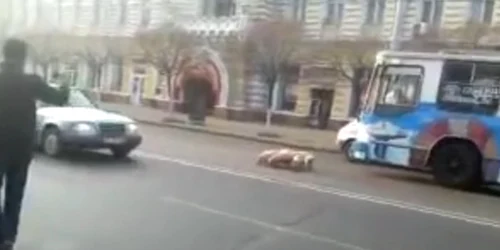 Purceii au pornit, în grup, pe bulevardul Ștefan cel Mare