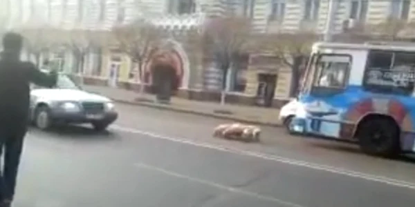 Purceii au pornit, în grup, pe bulevardul Ștefan cel Mare