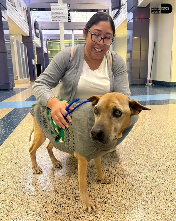 Buttercup este o cățelușă în vârstă de 15 ani, din Florida