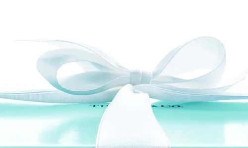 Tiffany & Co  La magazinul de bijuterii jpeg