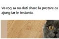 pisica donare fb jpg