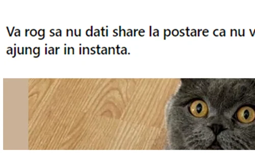 pisica donare fb jpg