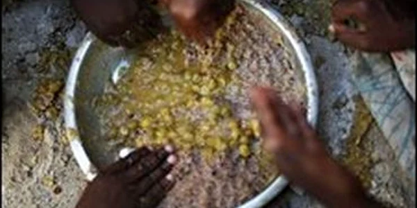 Mai mult de un miliard de persoane suferă de foame la nivel global