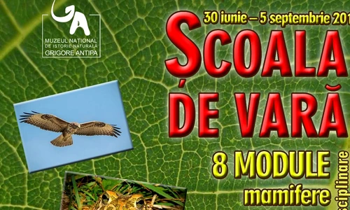 1 58354 original jpg jpeg