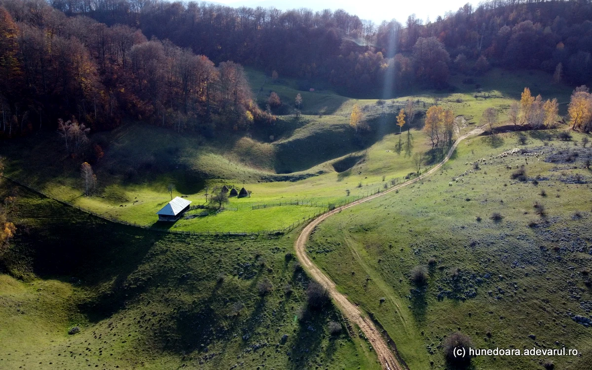 Stână din Ponorici. Foto: Daniel Guță