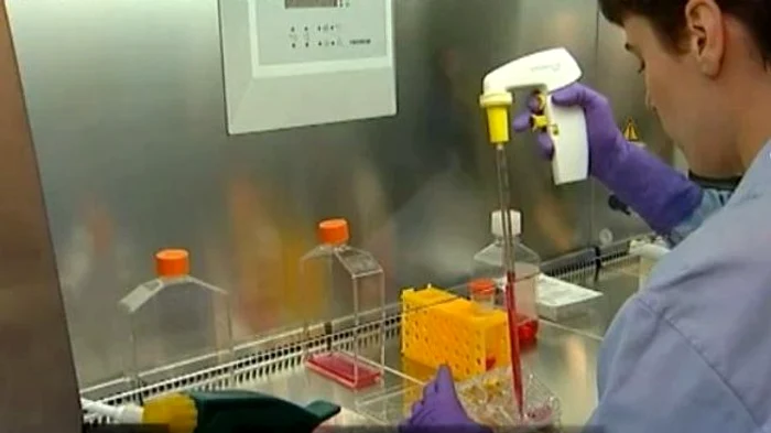 
    În octombrie va apărea primul hamburger realizat în laborator  