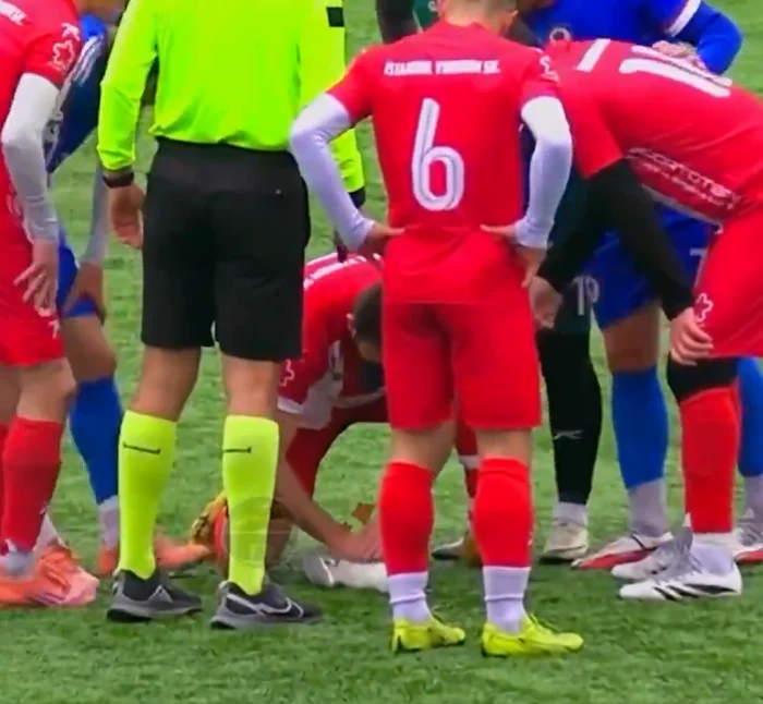 Un jucător a reușit să readucă la viață un pescăruș. FOTO: captură video X