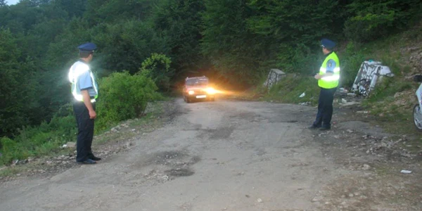 Bărbatul din Lupşa transporta 49 de brazi fără acte de provenienţă