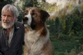 harrison ford the call of the wild 2020 profimedia 0594790165 1 0 jpeg