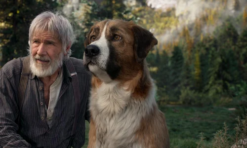 harrison ford the call of the wild 2020 profimedia 0594790165 1 0 jpeg
