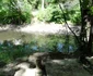 gradina zoo slatina
