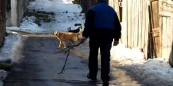 Foto. Adevărul