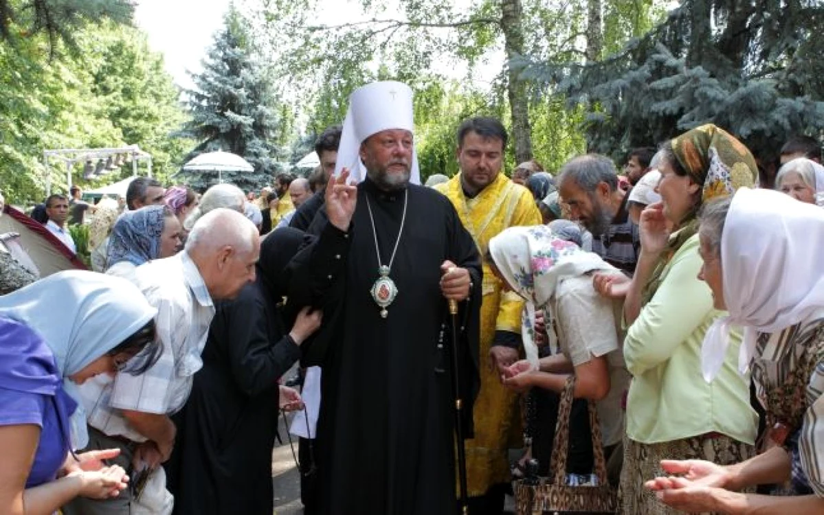 ips vladimir