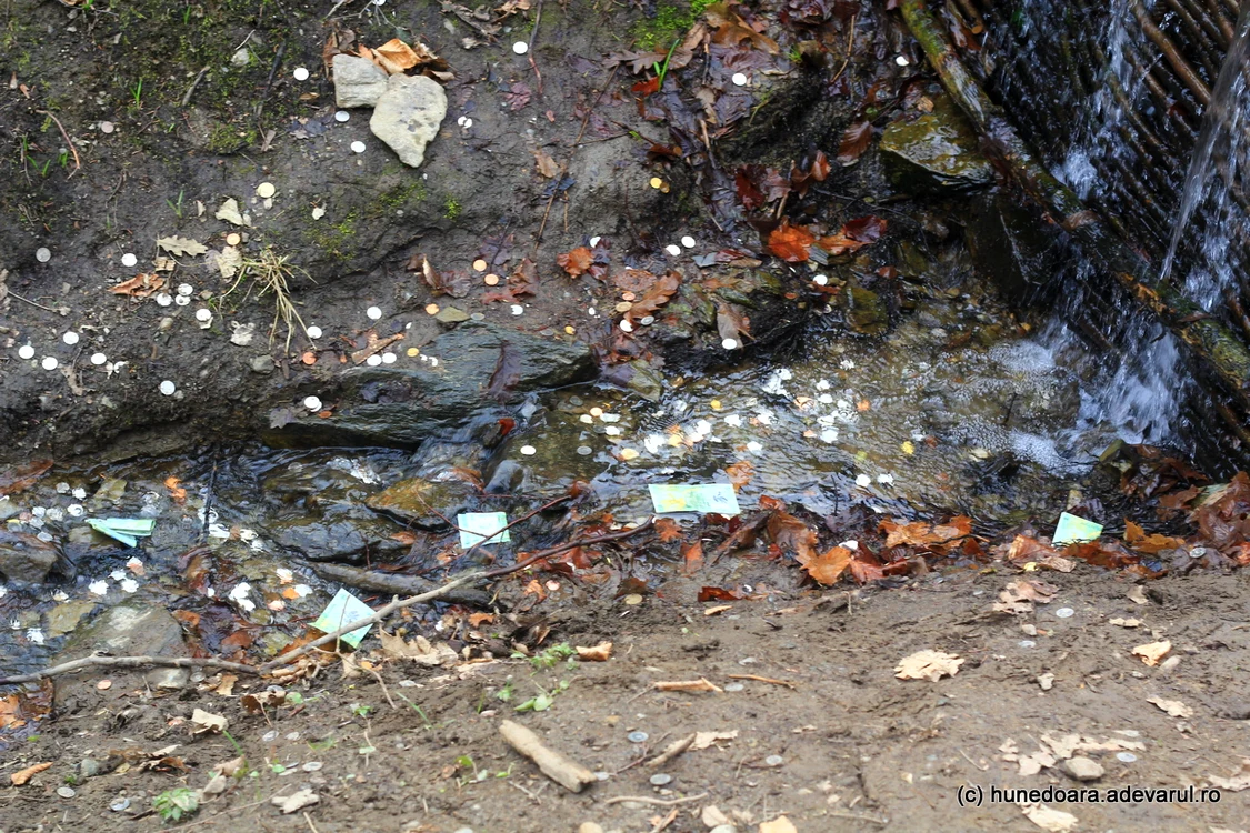Bani aruncați în izvorul de la Mănăstirea Prislop. Foto: Daniel Guță