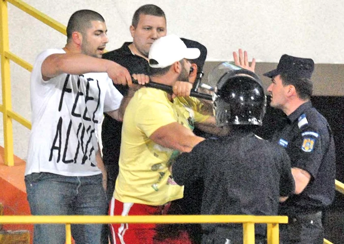 «Câinii» se bat între ei