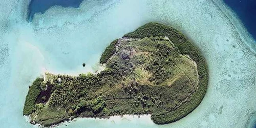 insula
