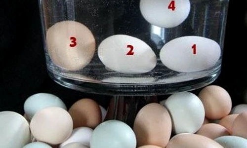 1 62818 original jpg jpeg