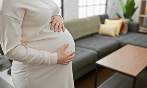 shutterstock 2451404079 jpg