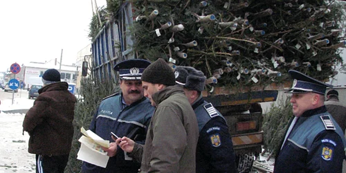 Poliţiştii i-au amendat pe vânzătorii de brazi 