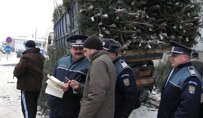 Poliţiştii i-au amendat pe vânzătorii de brazi 